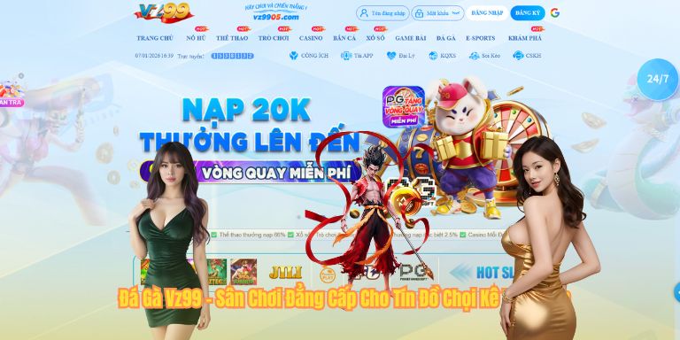 Đá Gà Vz99 - Sân Chơi Đẳng Cấp Cho Tín Đồ Chọi Kê Việt Nam
